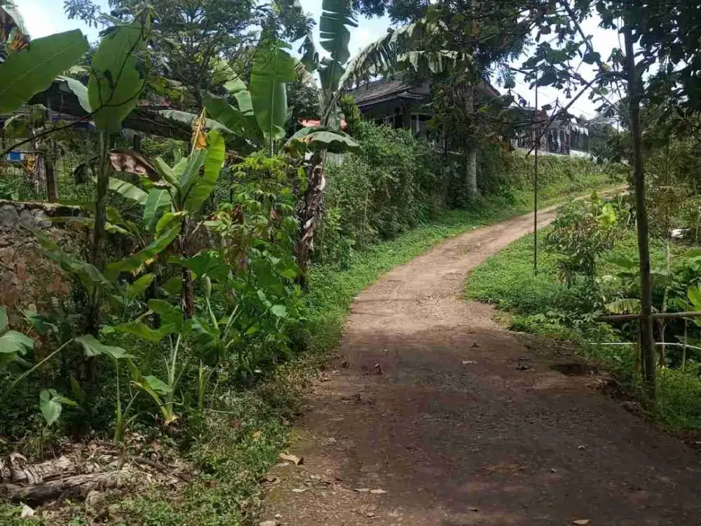 jual murah lahan kebun arjasari bandung akses mobil luas 100 tumbak dekat argo wisata gn malabar