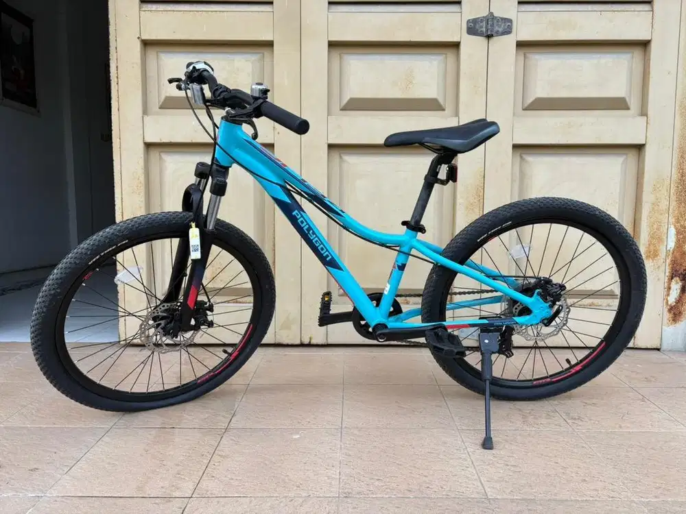 Sepeda MTB Anak Polygon Relic 24