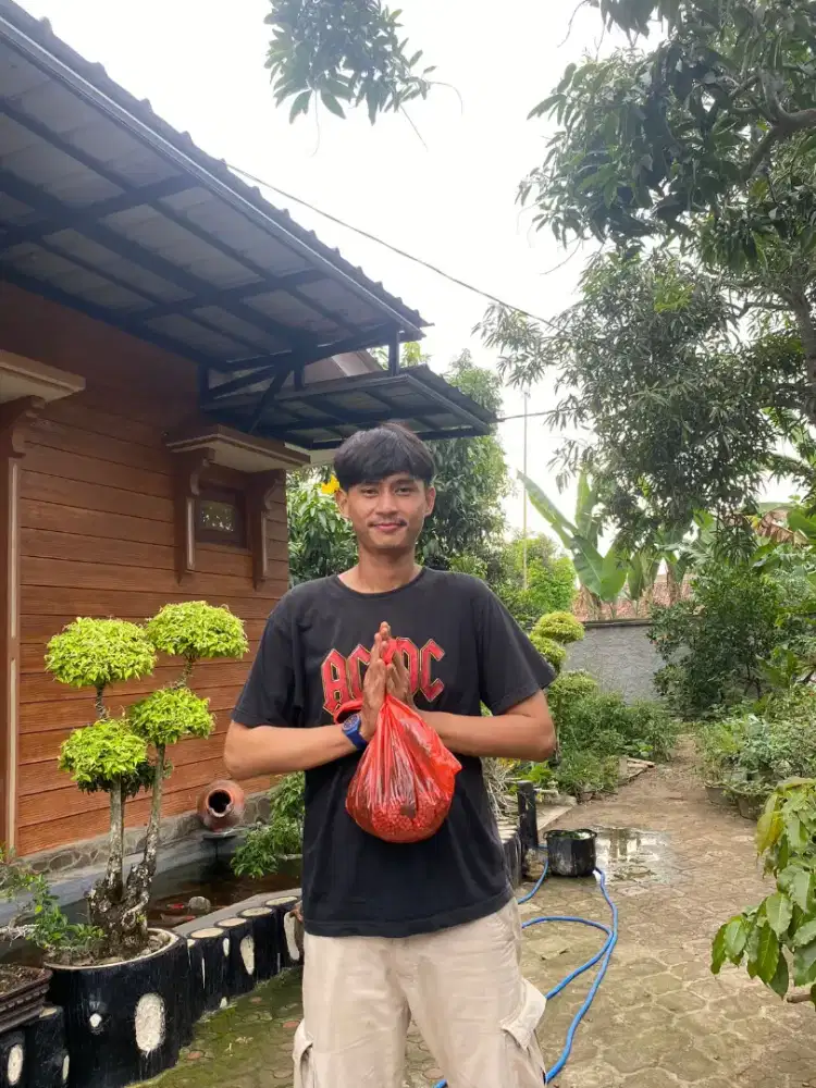 Bismillah cari kerja