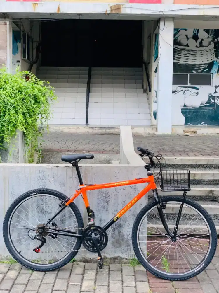 Sepeda Commuterbike federal torino terrain