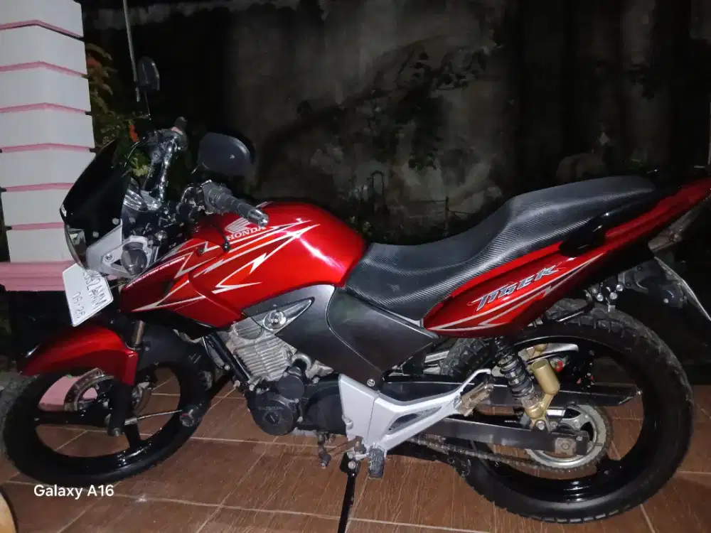 Tiger 2011 pajak idup lengkap kotamadya