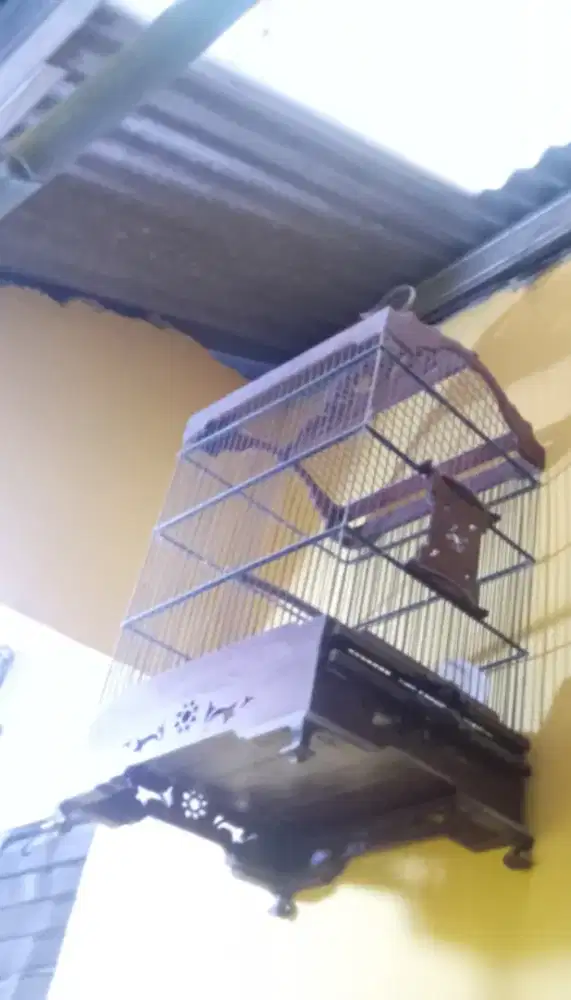 jual kandang burung kayu jati