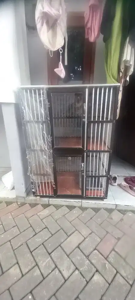 Kandang kucing 2 tingkat