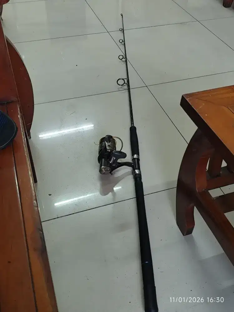 Joran Penn & reel ryobi