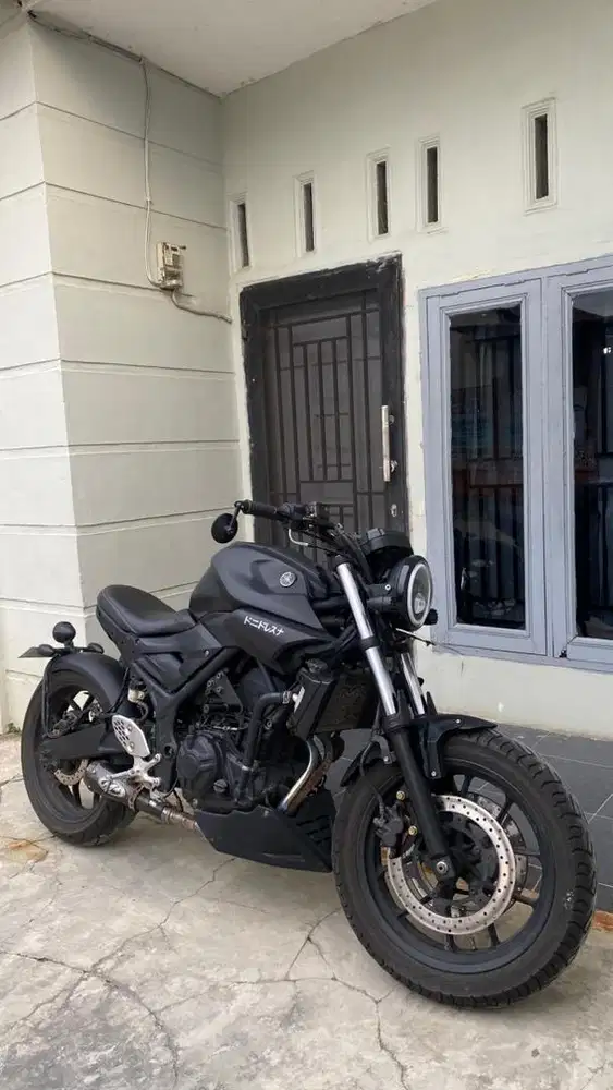 Yamaha MT25 custom