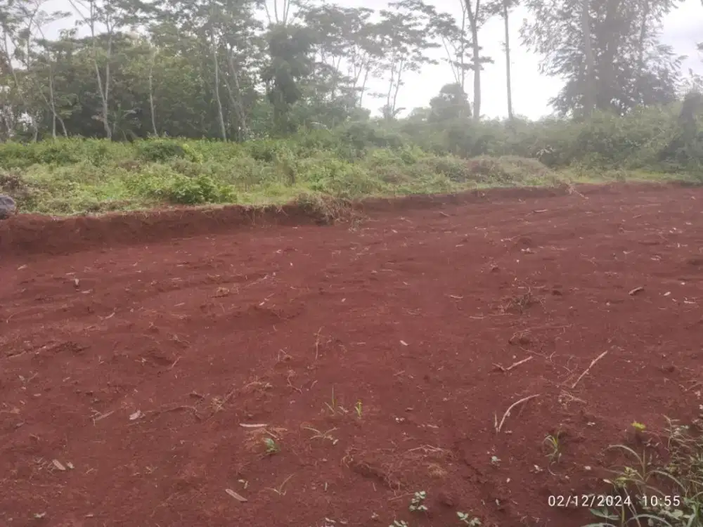 Dijual tanah 310 m2, 170 m2, atau 140 m2 di Kandeman Batang, Dekat Pantura dan Pintu Toll, dan Pusat Kota Batang