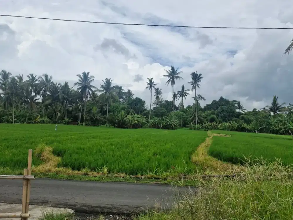 Dijual lahan di Pejeng Ubud zona kuning