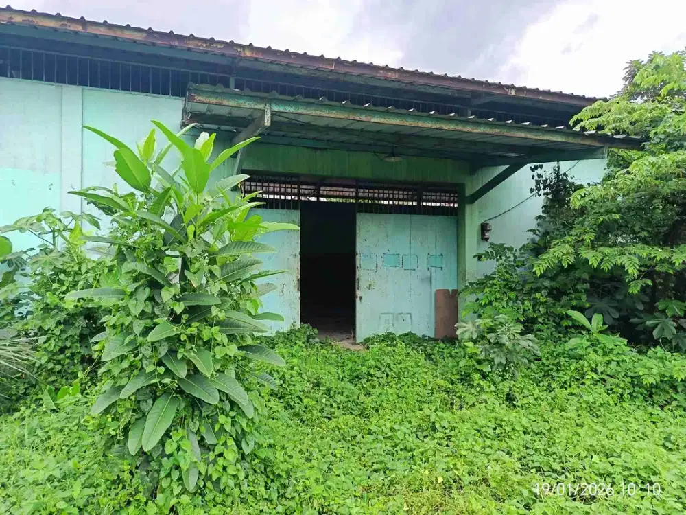 Gudang Murah disewakan