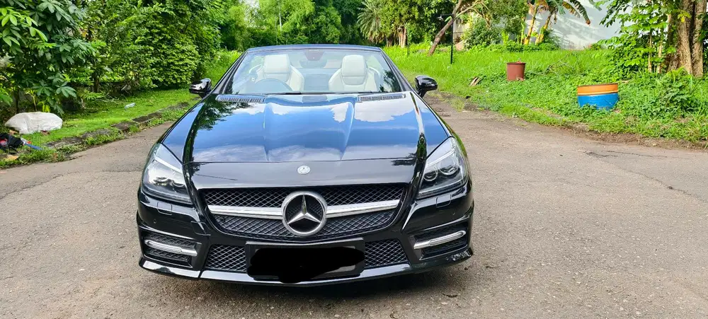 Mercedes-Benz SLK250 2012 Bensin