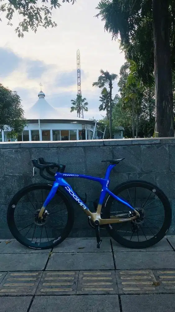 Pinarello Dogma F12 (myway)
