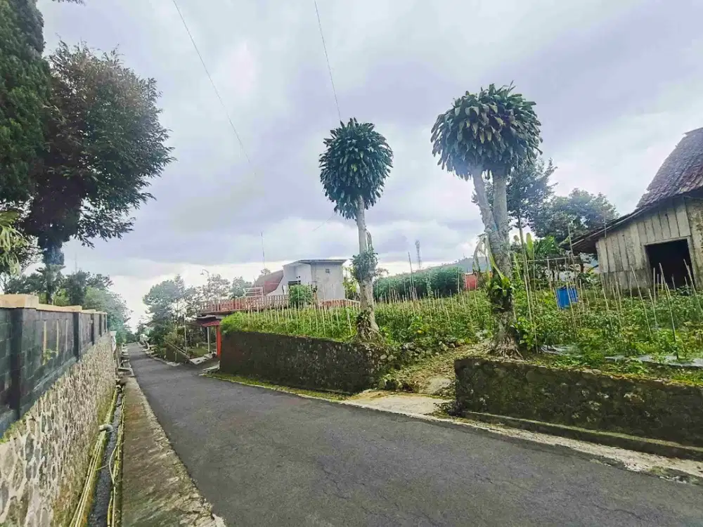 Jual Tanah kemuning Ngargoyoso Karanganyar Prospek vila