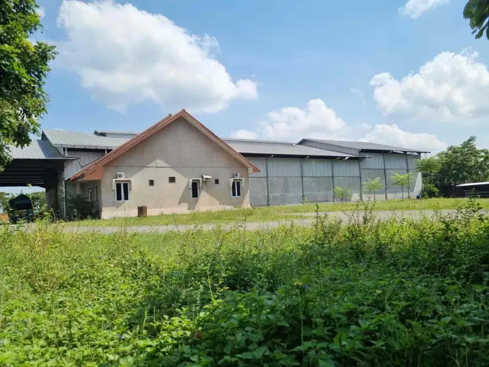 Gudang Pagu Kediri Jawatimur Murah Siap Huni