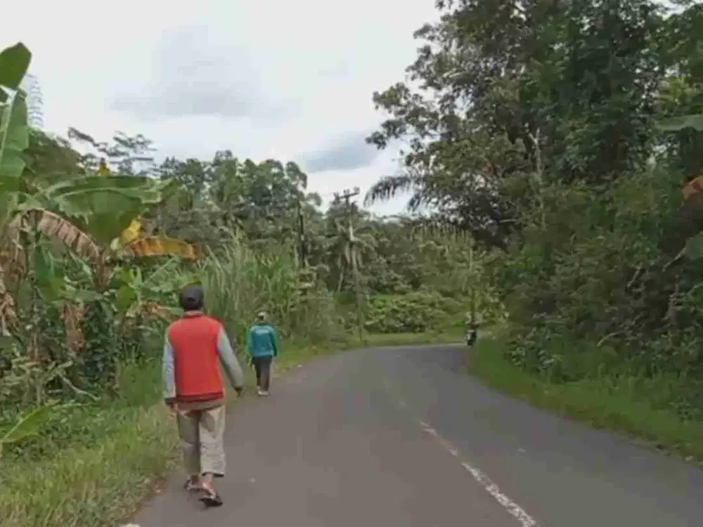 Tanah kebun pinggir jalan sebelum pamijahan