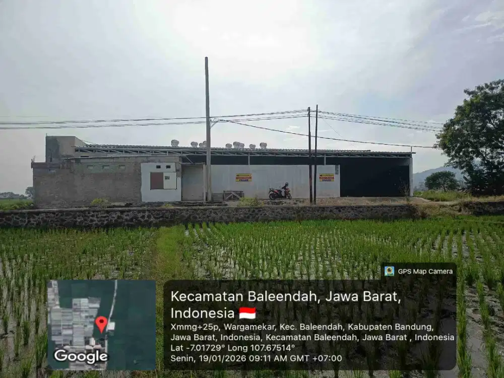 Kesempatan emas dan terbatas siapa cepat dia dapat