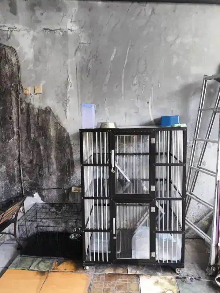 Kandang kucing alumunium, besar 2 lantai

Kondisi sangat terawat