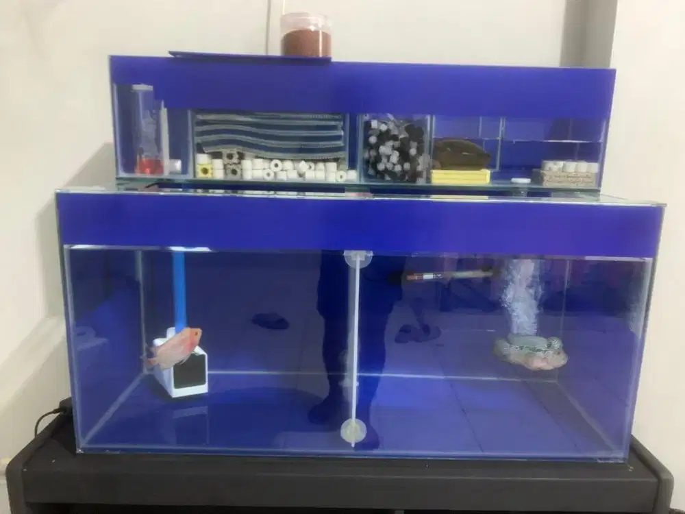 Aquarium ikan 80x40x40 dasar 8 mili keliing5 mili