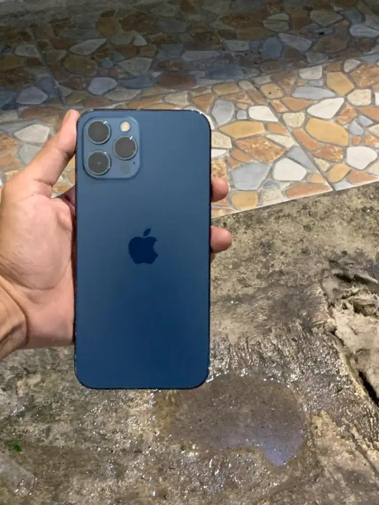 Iphone 12 pro max 256gb Digimap