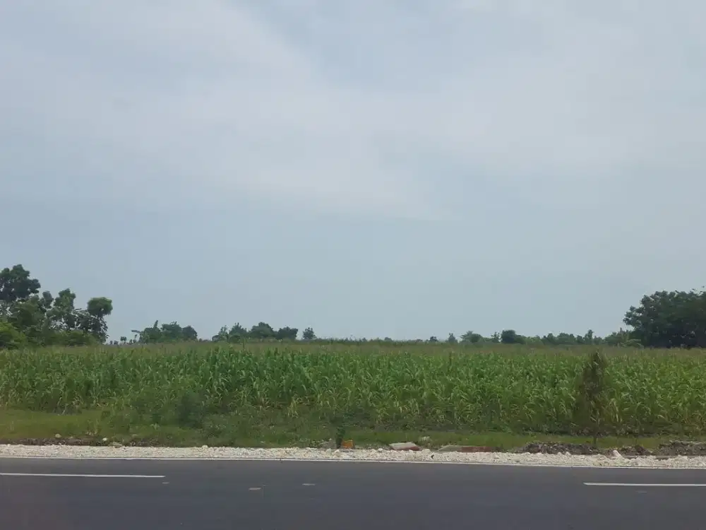 Jual Tanah Jenu Tuban Jawa Timur