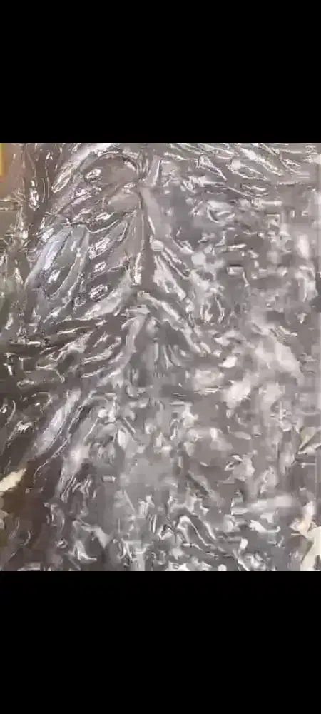 Bibit lele sangkuriang