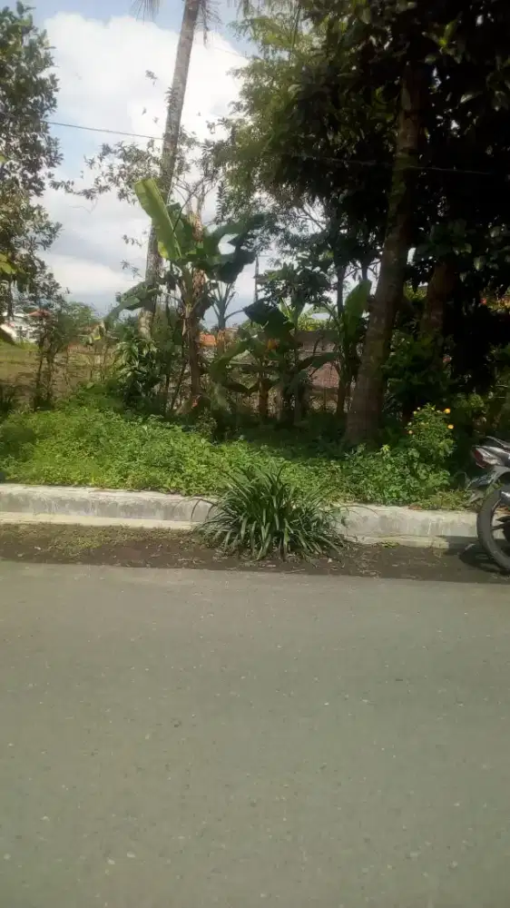 Sisihkan untuk membangun investasi jangka panjang d