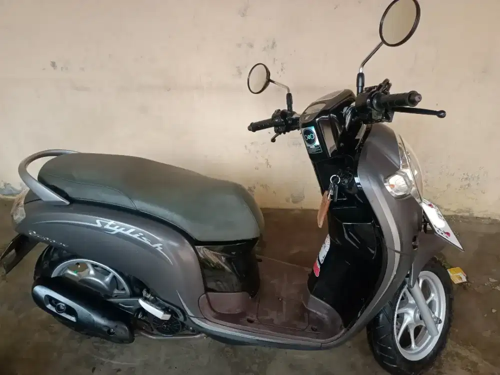 Scoopy staylish 2020