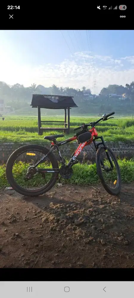 Sepeda gunung di jual karena sudah tidak boleh bersepeda lagi