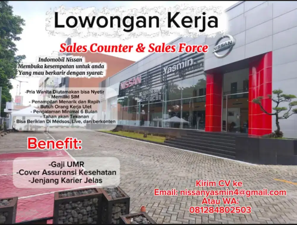 Loker Sales Counter & Sales Force