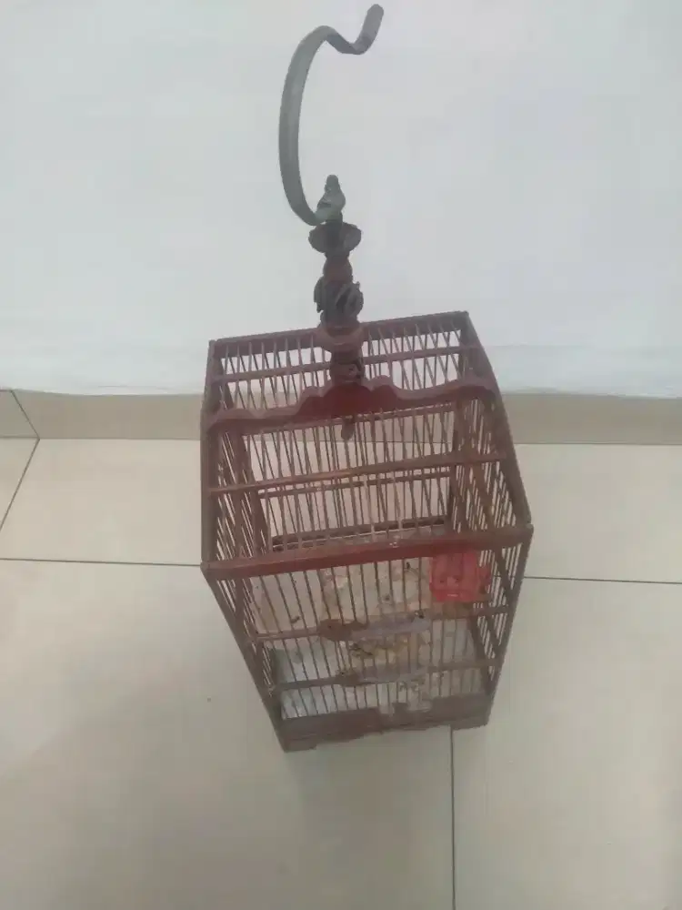 Kandang Burung / Sangkar Burung