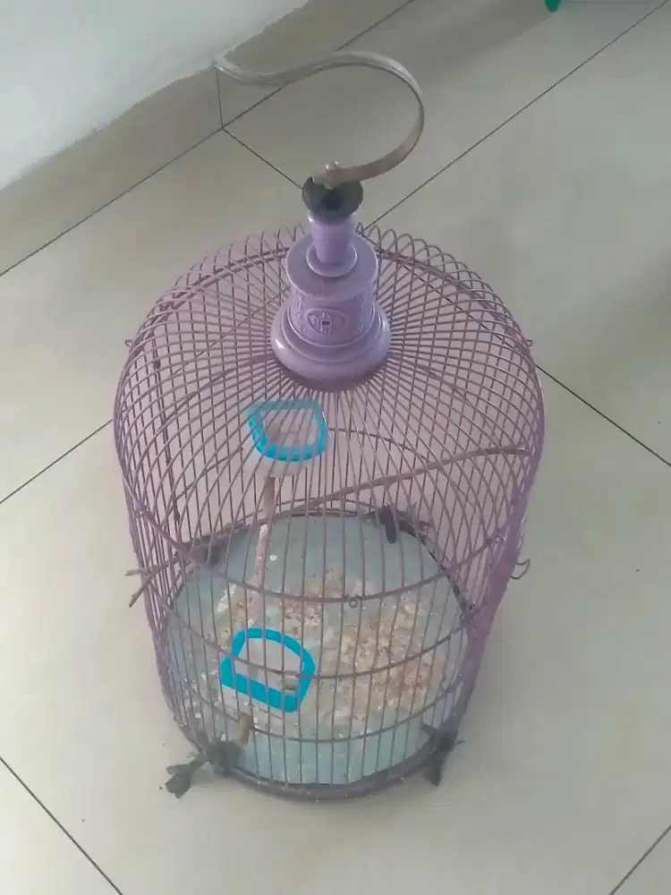 Kandang Burung / Sangkar Burung
