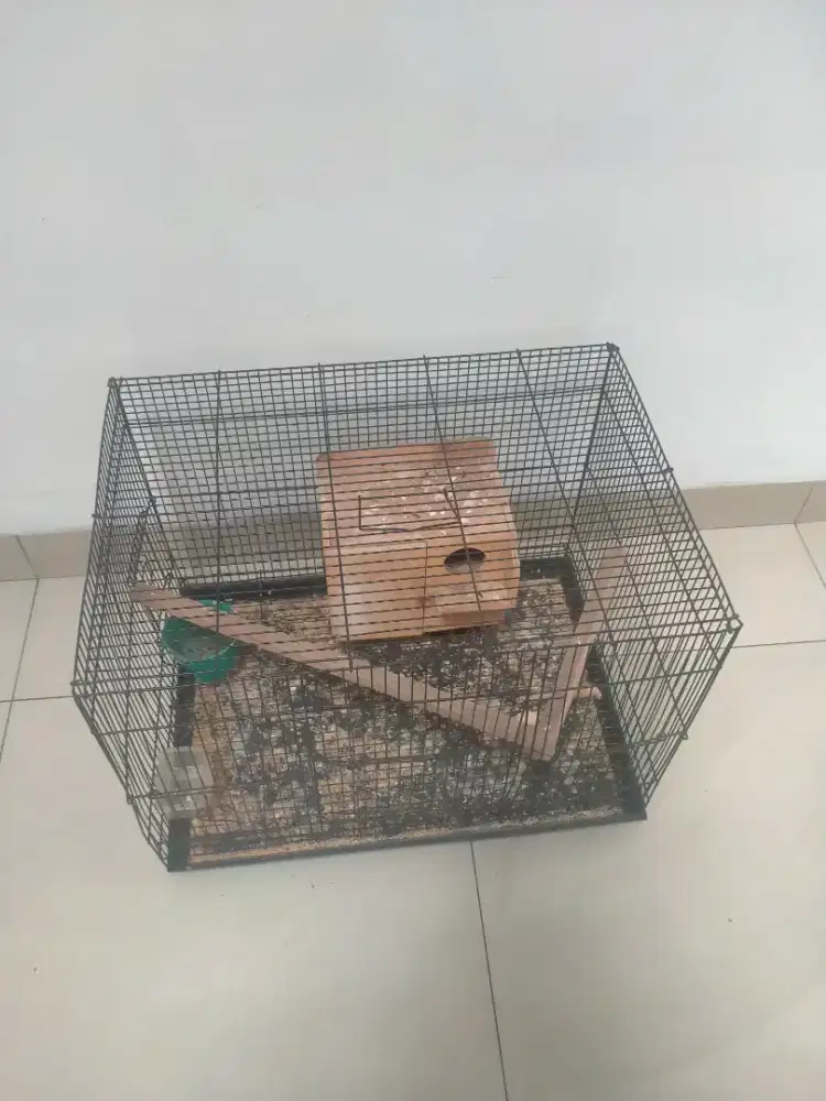 Kandang Burung / Sangkar Burung