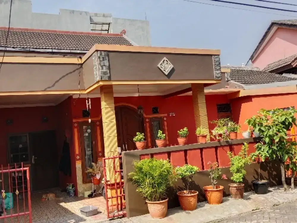 jual butuh pinang griya permai cipondoh tanggerang