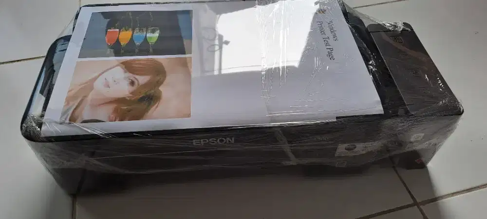 Printer epson L300