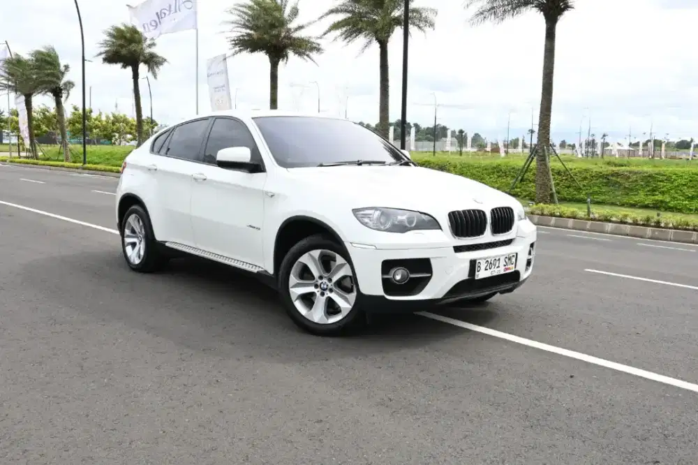 (ODO32k) BMW X6 xDrive35i 2010