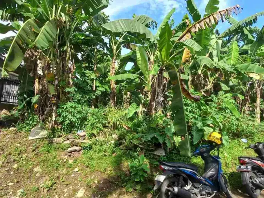 Jual Cepat 2 Tanah Kavling Total 205 M Di Cluster Depan Perumahan Bukit Cimanggu City Akses TOL