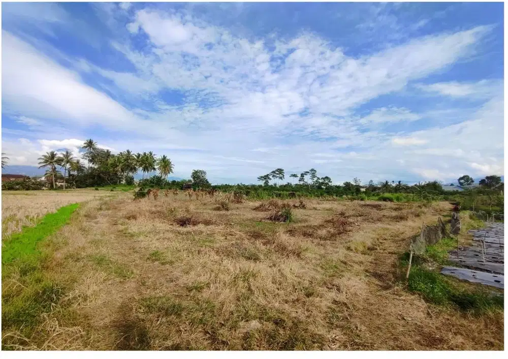 Dijual Tanah bisa untuk Lapangan Padel