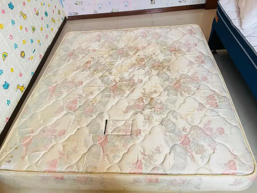 Kasur springbed poket