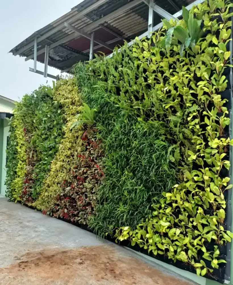 Pembuatan taman vertikal garden
