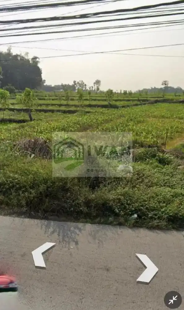 Tanah Luas & Murah Strategis Hadap Jalan Raya Provinsi