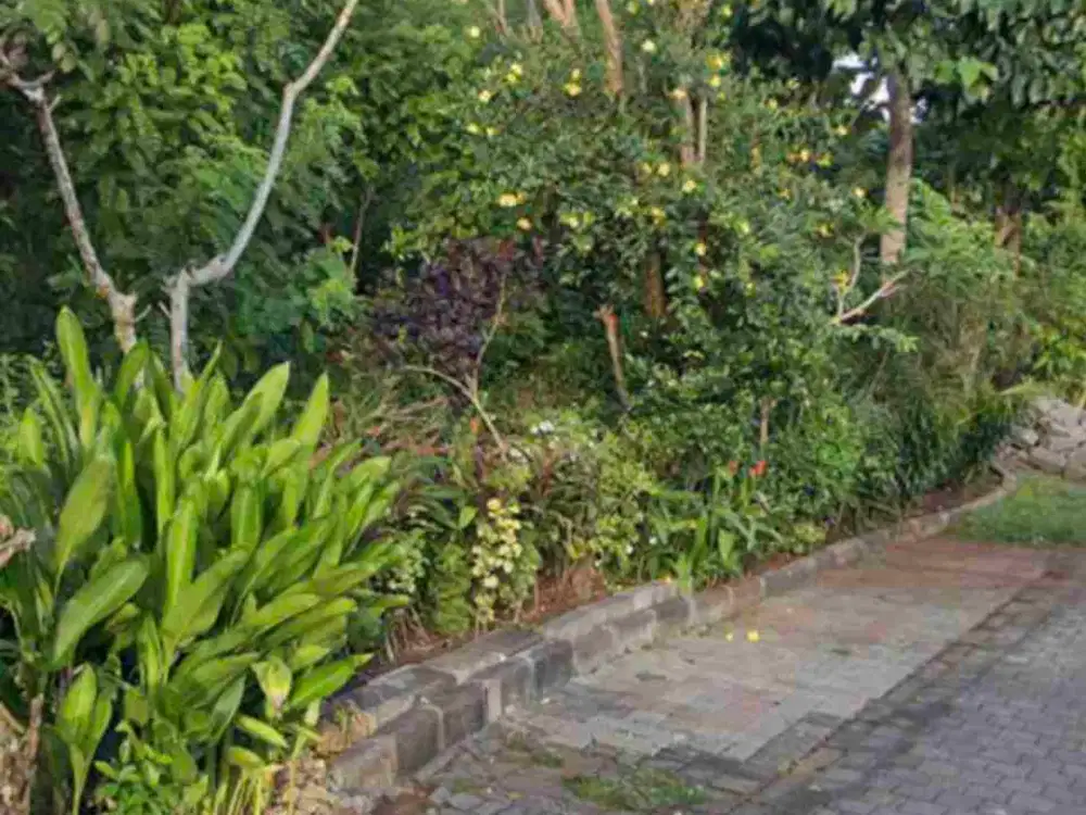 dijual tanah 5 are IDR 550 juta per are Kawasan kampus unud jimbaran Kuta Selatan Badung Bali