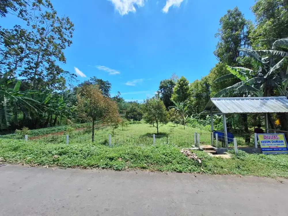 DIJUAL: KEBUN STRATEGIS POTENSI WISATA - JALAKSANA, KUNINGAN