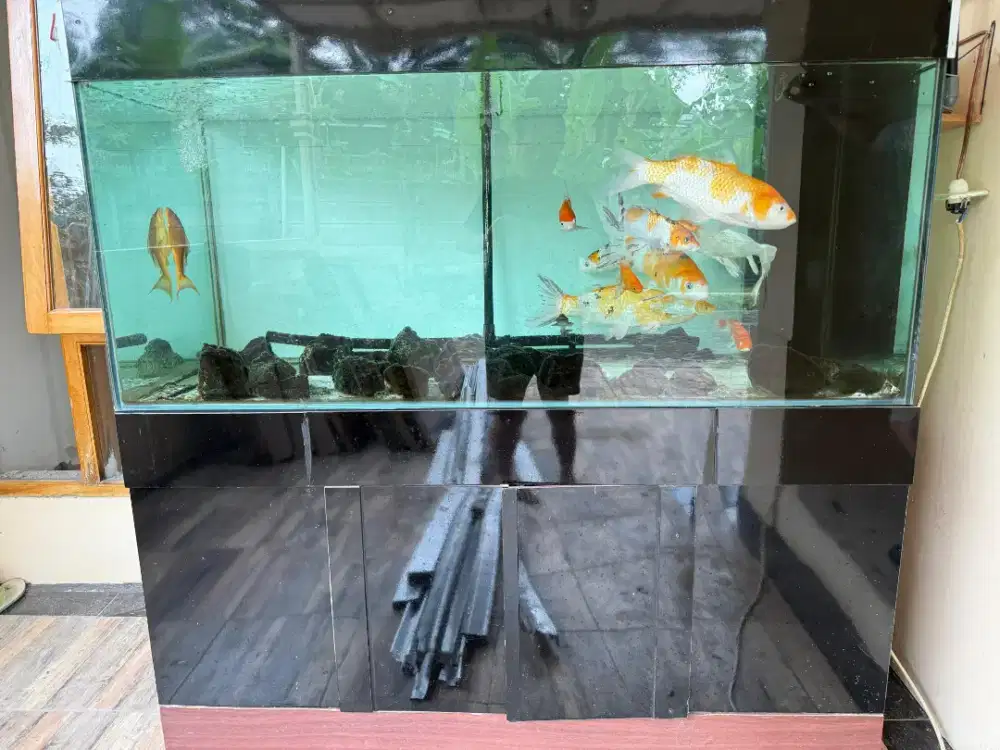 Aquarium ukuran P=2m L=1m