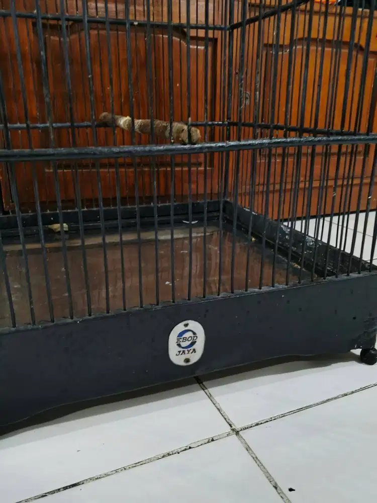 Kandang ebod no 1 bekas layak pakai
