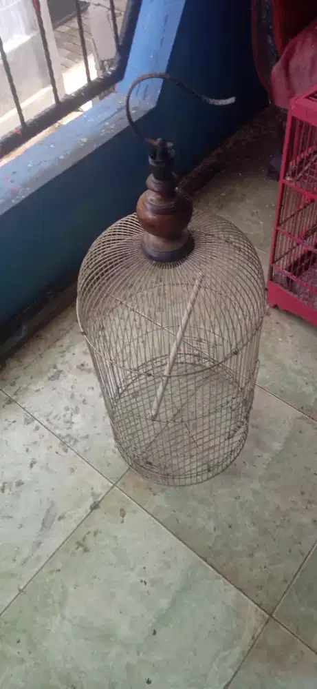 Kandang Lovebird kokoh