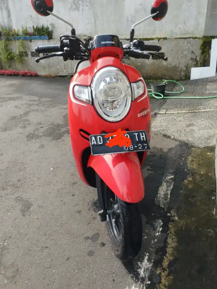 scoopy , ad solo , 2017