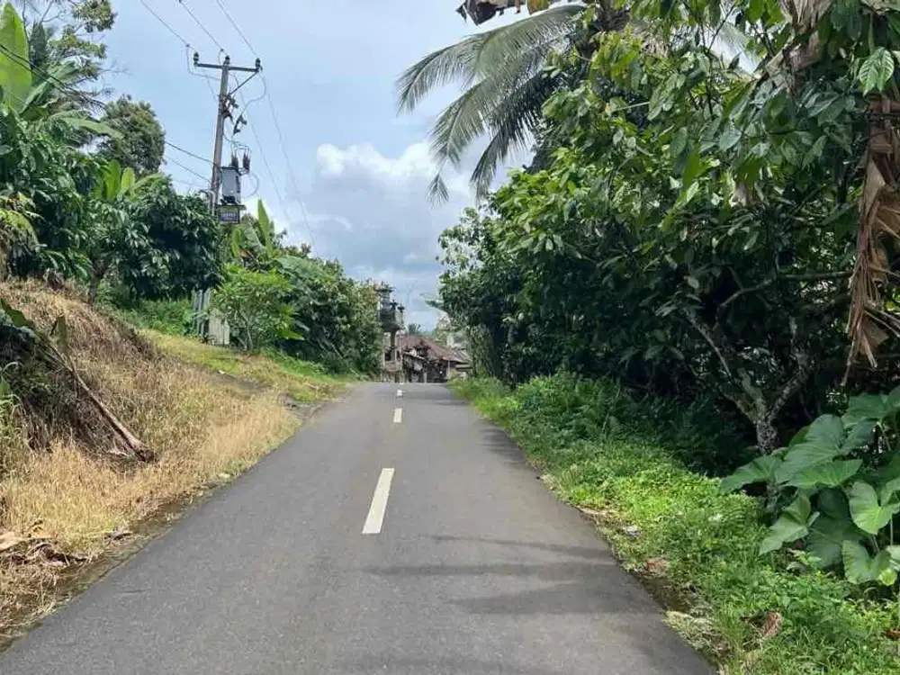 Di jual tanah luasan kecil dengan view sawah di pinggir jalan