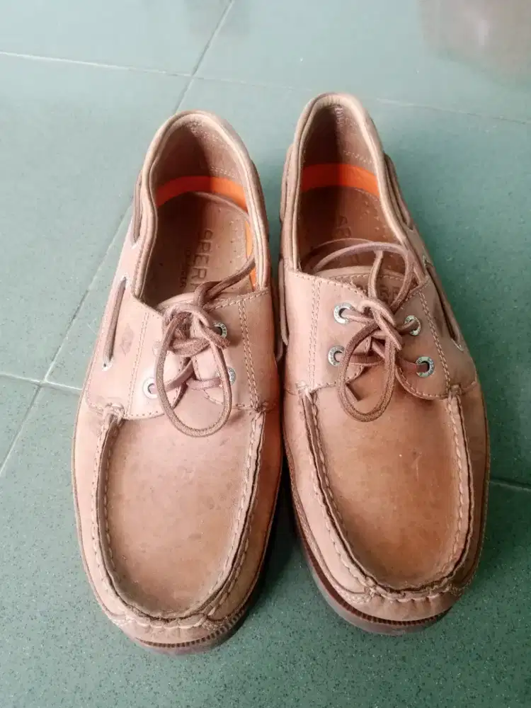 Sperry Top Spider - Golden Eye Tann