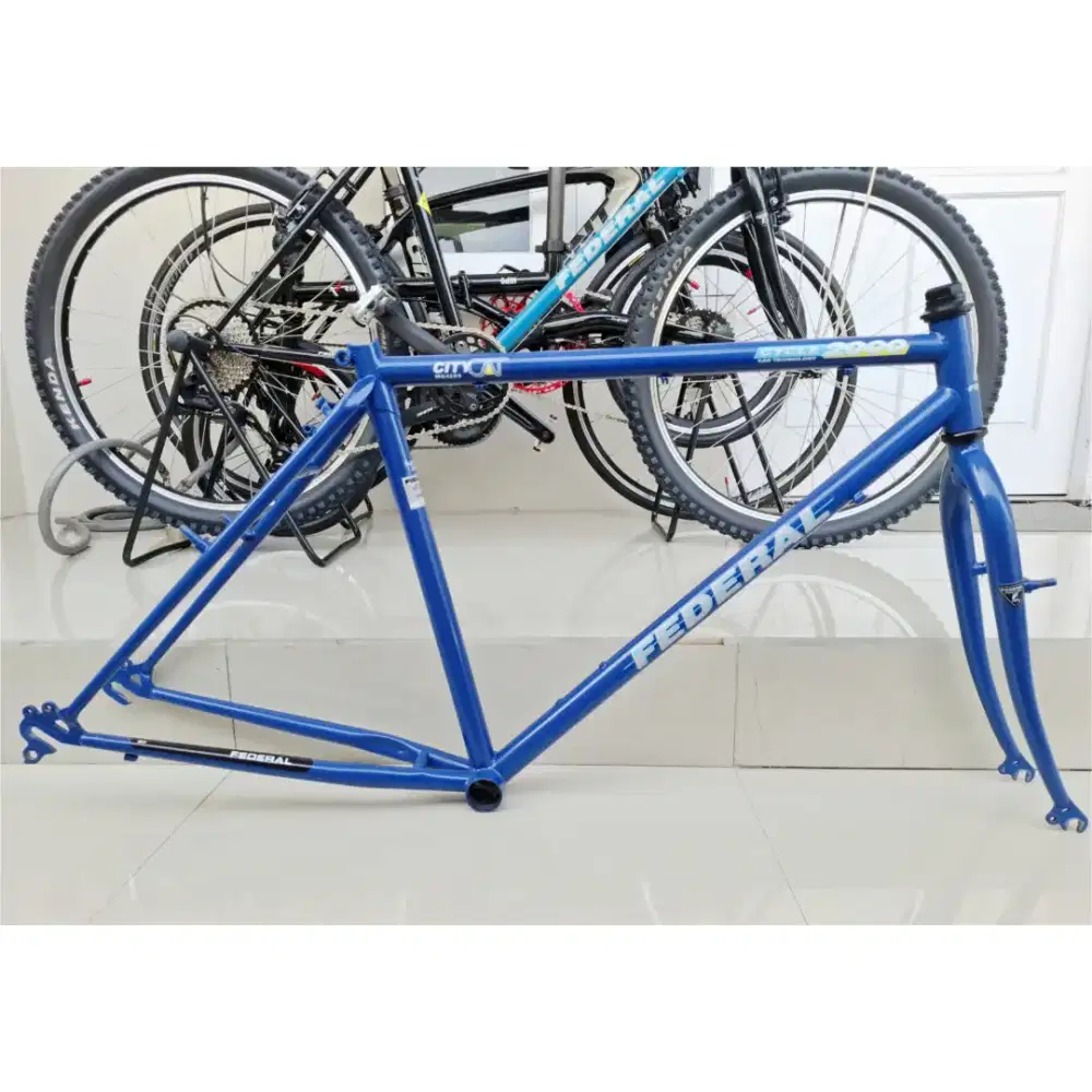 Frameset 26 Federal Citycat Commuter Bike size 19