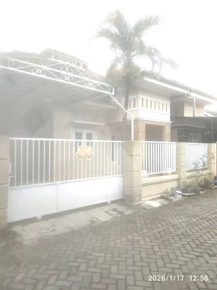 Disewakan Rumah siap huni lokasi Aman dan bebas banjir di semarang