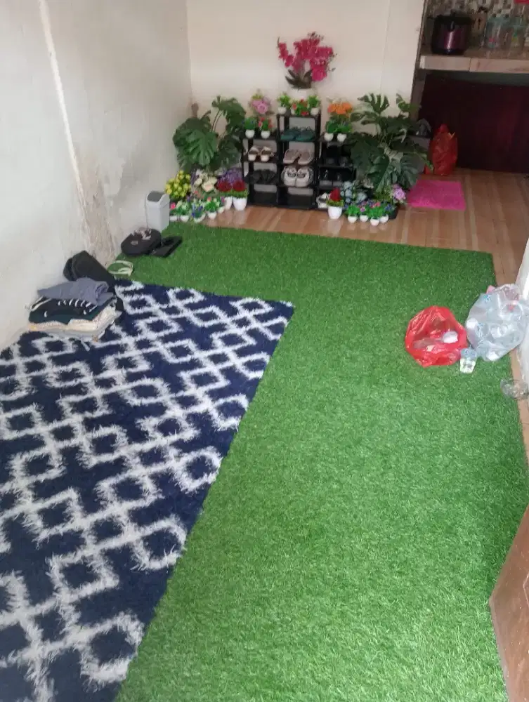 Tanaman plastik dan karpet rumput hiasan rumah