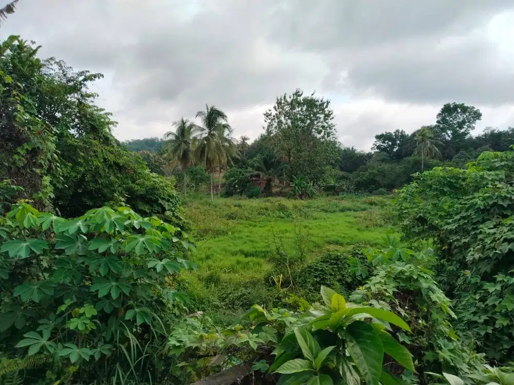 Tanah lintas sumatera batu raja